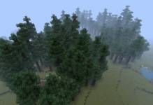Высокий лес на равнине из Движуха на креативном сервере